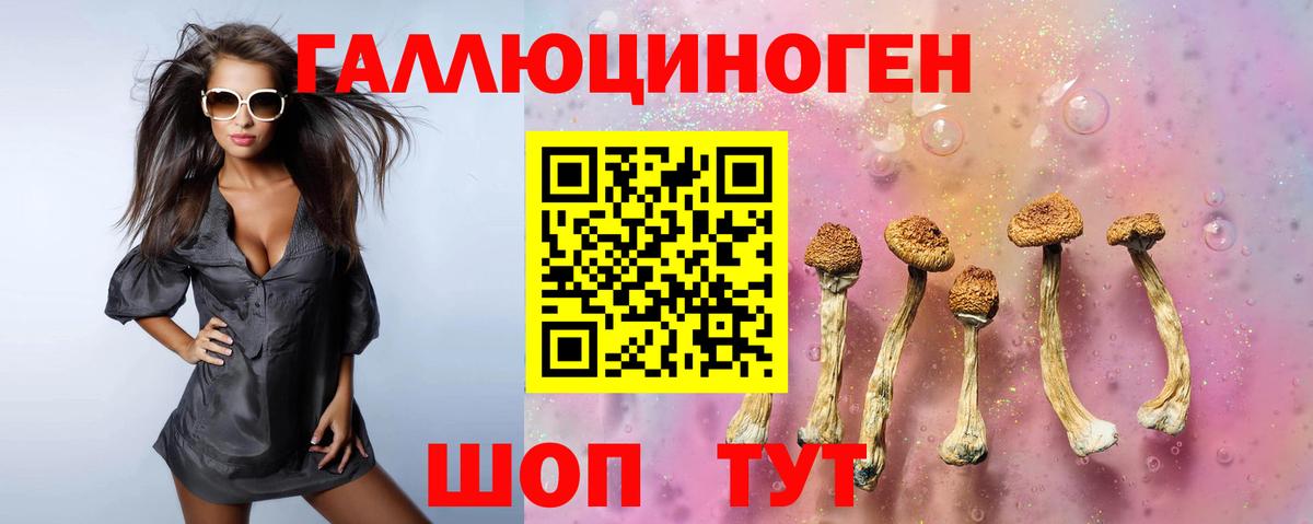 Псилоцибиновые грибы прущие грибы Усолье-Сибирское