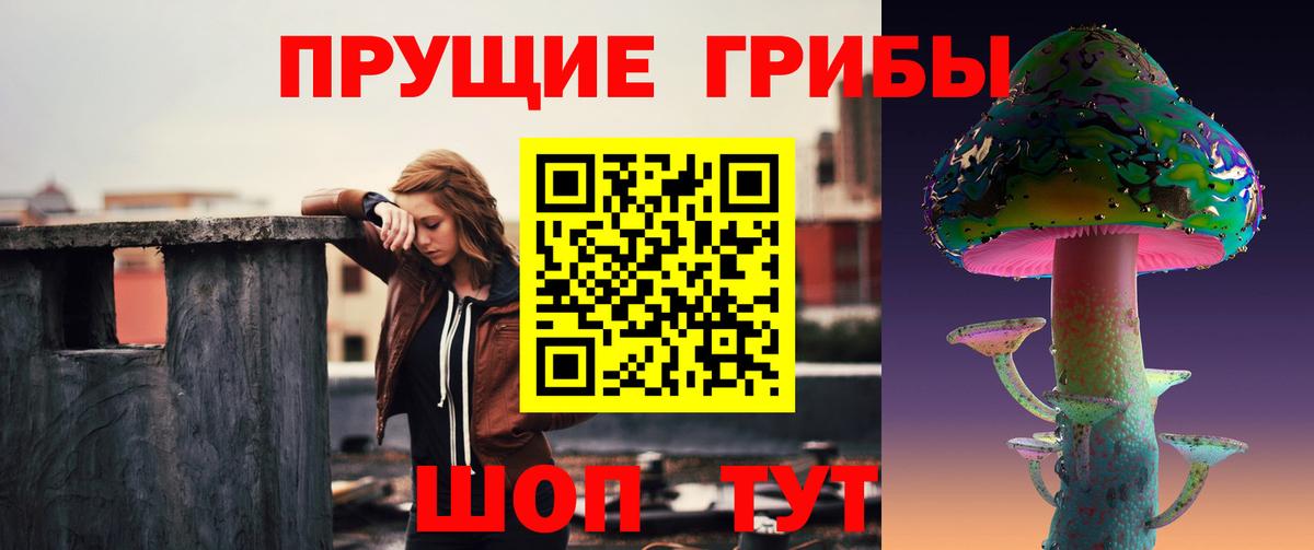 Псилоцибиновые грибы GOLDEN TEACHER  где продают   Псилоцибиновые грибы Cubensis  Усолье-Сибирское  Вход с VPN 